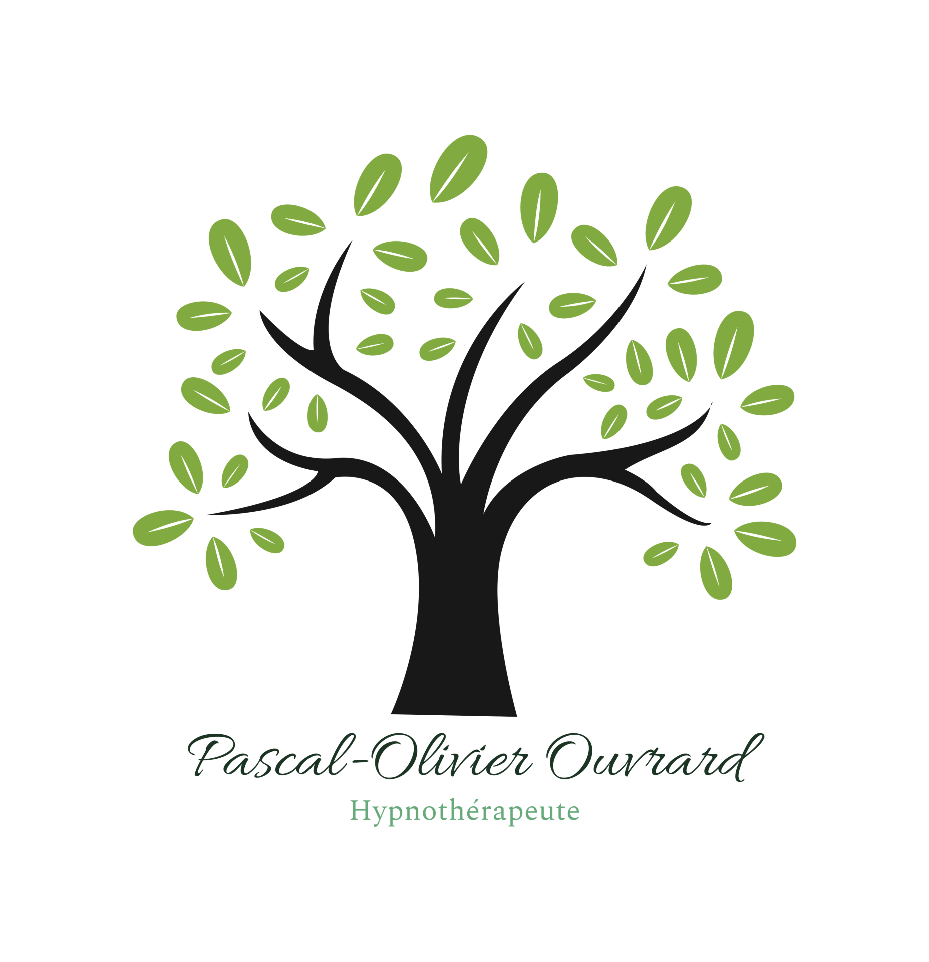 Pascal-Olivier Ouvrard - Hypnothérapeute à Silly-Tillard